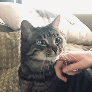 Meet your Posher, Nora